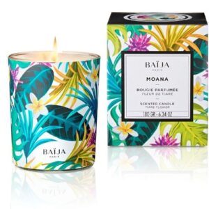 Sceed Candle with natural waxnt